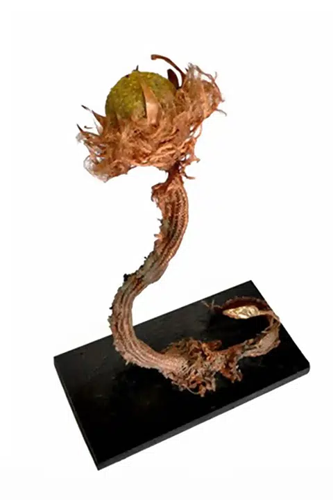 Sculpture of a sunflower in the shape of a snake, mixed media, expressionist.