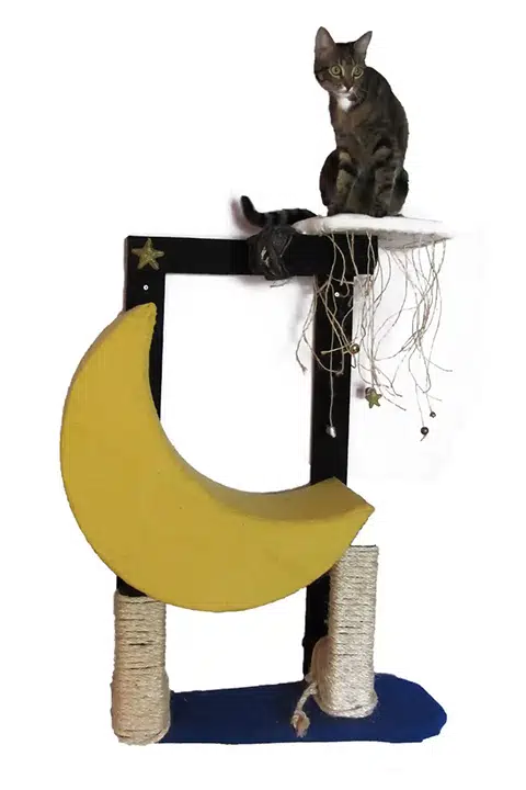 Wall-mounted cat house, unique custom design